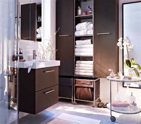 But petznick cabinet makers' abilities extend far beyond those obvious spaces. The Cool Ikea Bathroom cabinets design picture