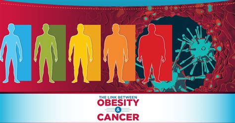 the link between obesity and cancer mercy health