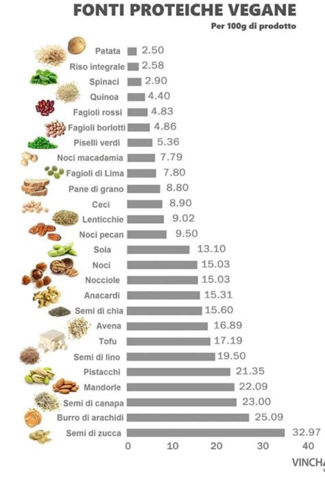Le Migliori Proteine Vegetali Artofit