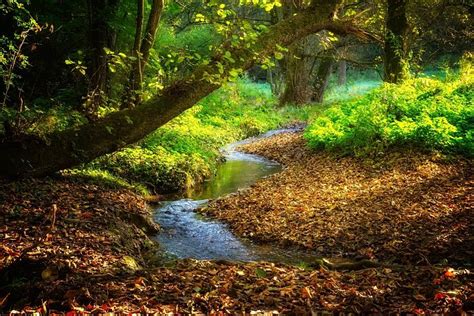 Autumn Landscape Images · Pixabay · Download Free Pictures