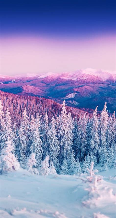 35 Winter Iphone Wallpapers To Spice Up Your Phone Updated 2019