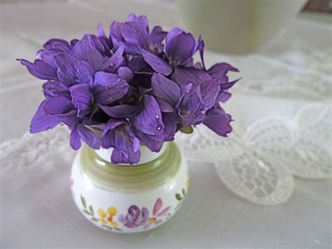 A Bunch Of Violets In A Cute Little Vase Vase Beautiful World Flowers