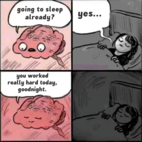 Good Job Brain Are You Going To Sleep Know Your Meme