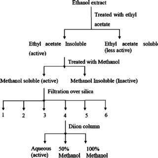 Scheme Of Bioassay Guided Fractionation Of The Ethanol Extract