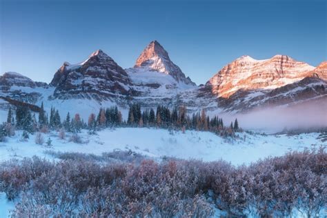 Mount Assiniboine See You In The Mountains