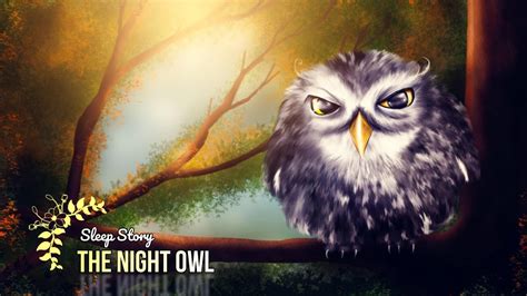 Sleep Meditation For Children The Night Owl Sleep Story For Kids