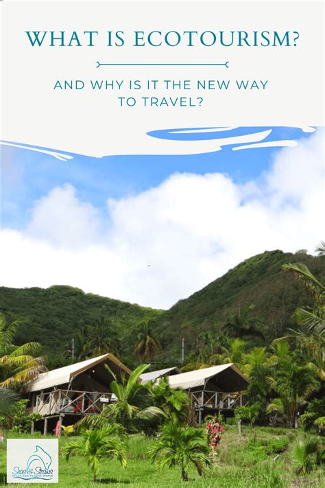 The Definition Of Ecotourism And Why Its The New Way To Travel