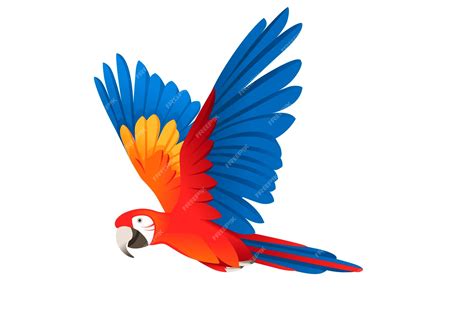 Premium Vector Adult Parrot Of Red And Green Macaw Ara Flying Ara