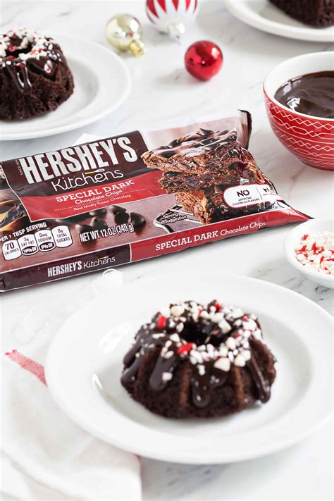There are bundt cakes from scratch, with cake mix, with booze, fruits and so much more! Chocolate Peppermint Mini Bundt Cake Recipe Pic - My Baking Addiction