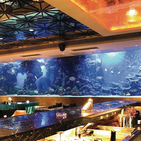 Diy aquarium (acrylic fish tank & steel base cabinet) links in description below click show more #diyfishtank #fishtank. Hotel Acrylic Square Aquarium Fish Tank | Aquarium, Tanked aquariums, Fish tank