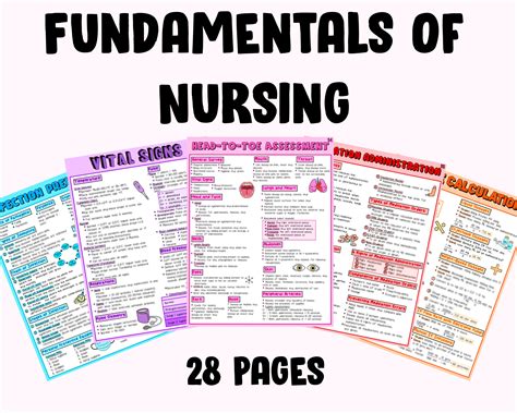 Fundamentals Of Nursing Study Guide Nclex Study Guide Etsy