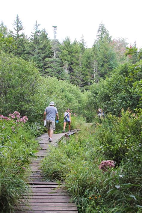 Secrets Of The Green Mountain Adventure Challenge In Vermont Nothing