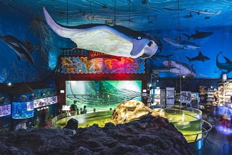 Mořský svět Praha největší mořské akvárium v ČR On line rezervace