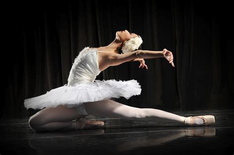 Swan Princess White Swan Black Swan Black And White George Balanchine Orlando Ballet Skirt