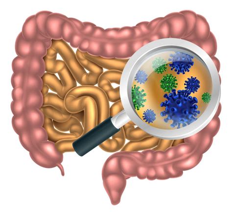 Halting Cdifficile With First In Class Oral Enzyme And Microbiome