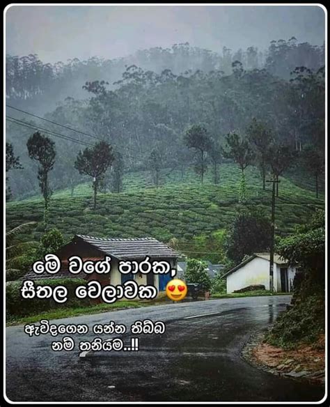 Fake Love Quotes In Sinhala Adara Amma Wadan