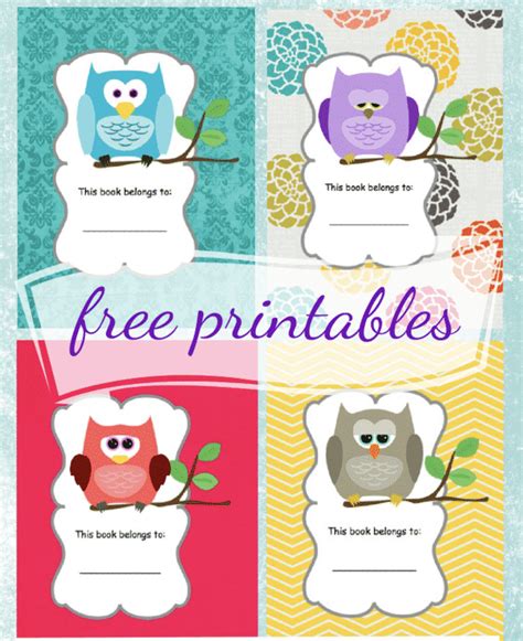Owl Themed Free Printable Book Cover Template School Book Covers