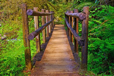 These 14 Short Hikes In Oregon Are Absolutely Beautiful