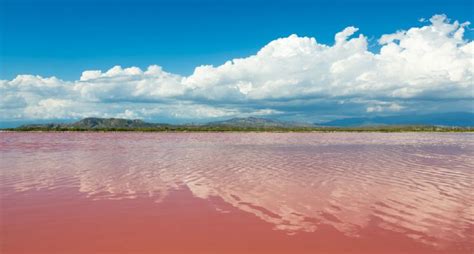 ¿existe Un Lago Rosa National Geographic En Español