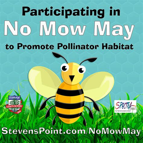 No Mow May Stevens Point Wi Official Website