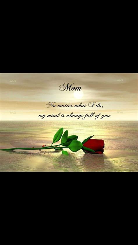 See more ideas about miss you mom, mom quotes, grief quotes. Pin by MaryAnn Mattiello on Mam | Mom in heaven quotes ...