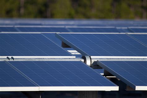 Florida Psc Approves Tampa Electrics Durrance Solar Project Daily