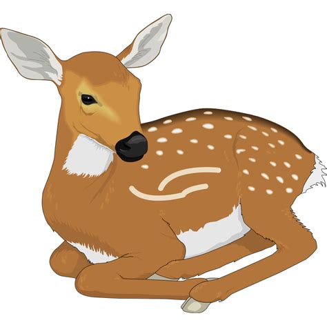 Resting Baby Deer Png Svg Clip Art For Web Download Clip Art Png