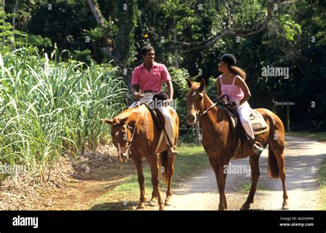 Affluent Black African American Couple Riding Horses English Style On