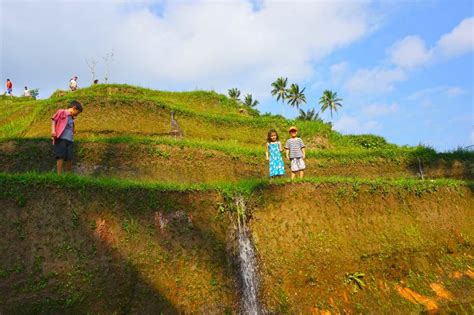 1.08mb, rice terraces, drawing picture with tags: Bali rice terraces with kids | Bali with kids, Travel fun ...