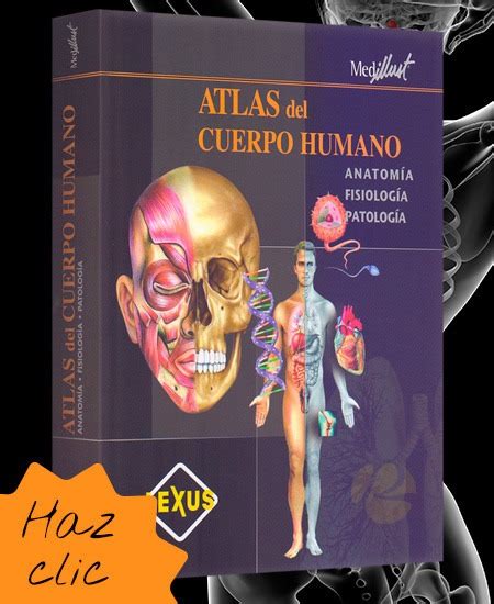 Atlas Del Cuerpo Humano Lexus Editores 419000 En Mercado Libre