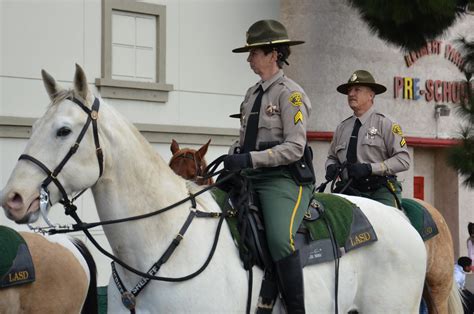 Los Angeles County Sheriff Department Lasd Mounted Enforcement Detail Deputies A Photo On