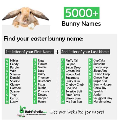 Bunny Milk Custard Bun Rabbit Names Bunny Names Bunny