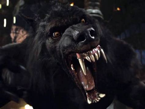 Obraz Van Helsing Werewolf 3 By Wolfie666 Seprosiada Wiki
