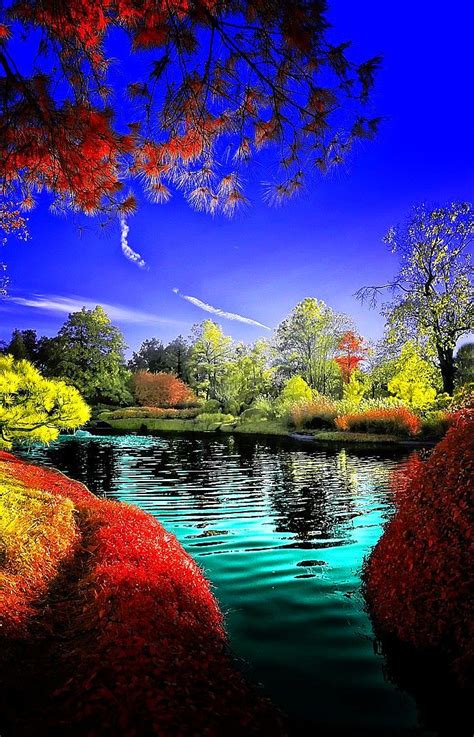 Our extensive collection of nature pictures allows for diverse use. Just Outside Heaven | Nature pictures, Beautiful nature ...