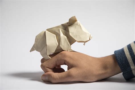How To Make An Origami Guinea Pig