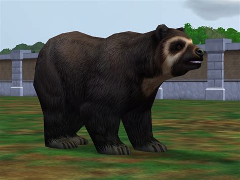 Spectacled Bear Zoo Tycoon 2 Wikia Fandom