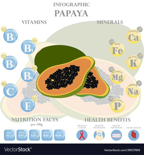 Papaya Nutrition Facts And Health Benefits Vector Image