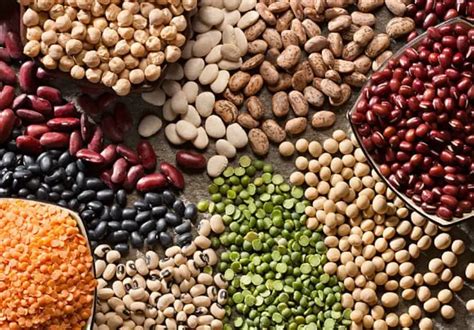 9 healthiest beans and legumes to add to your diet