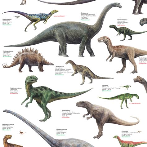 Sachposter Poster Dinosaurier Aus Trias Und Jura