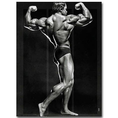 Arnold Schwarzenegger Bodybuilding Poster