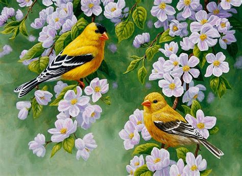 I painted him from a photo i took at the lake near where i live in southern illinois. 15+ Beautiful Bird Paintings | | FreeCreatives