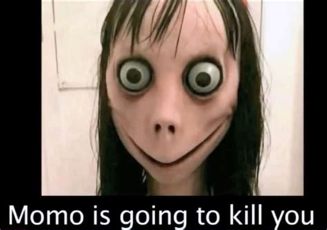 What Does A Momo Look Like