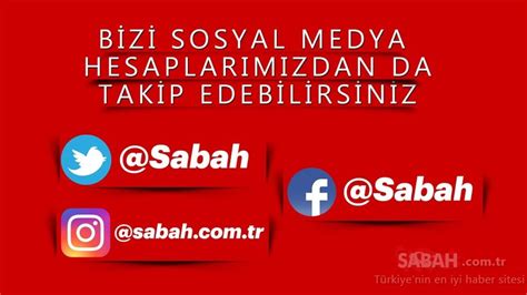 Yaban mersini suyu, yaban mersini kurusu faydaları nelerdir? Yaban mersininin mucizevi faydaları - Sayfa 3 - Sağlık ...