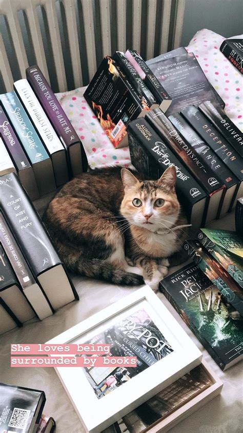 I Relate To This Cat So Much I Love Books Books To Read Cat Books