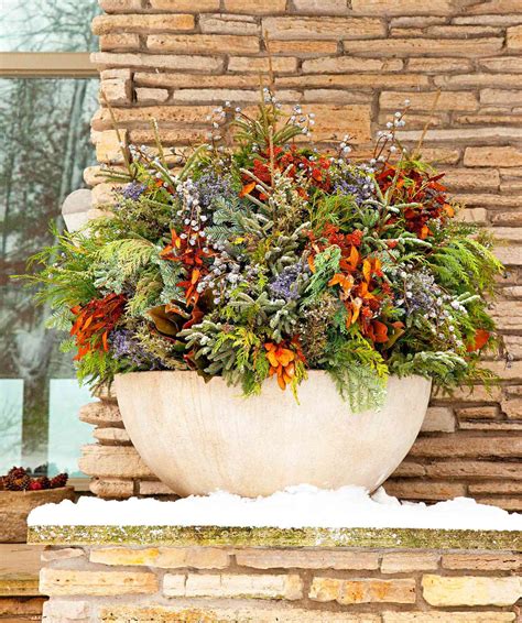 14 Cheerful Winter Container Gardens Midwest Living