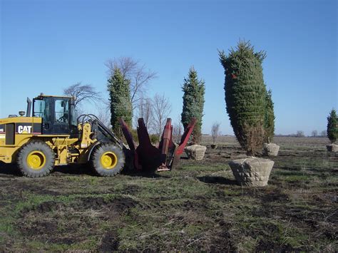 Tree Transplanting Winters Nurseries And Landscape Services