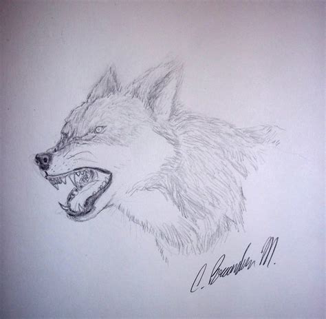 Angry Wolf Sketch By Bmendoza22 On Deviantart
