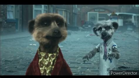 Compare The Meerkat All Adverts Including Sponsorship Compilation Part