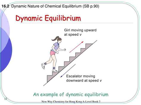 Static And Dynamic Equilibrium Explained With Their Differences