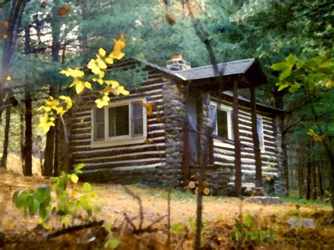 Each unit is fitted with air conditioning, private bathroom and a kitchen including a dishwasher, microwave, fridge and an oven. Cabin In The Woods by Paul Sachtleben